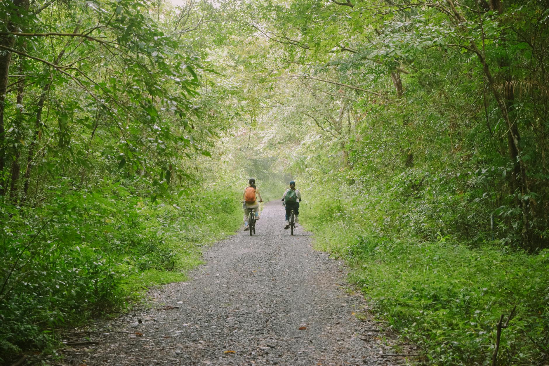 Rowerzyści jadą leśną ścieżką na wyspie Pulau Ubin koło Singapuru