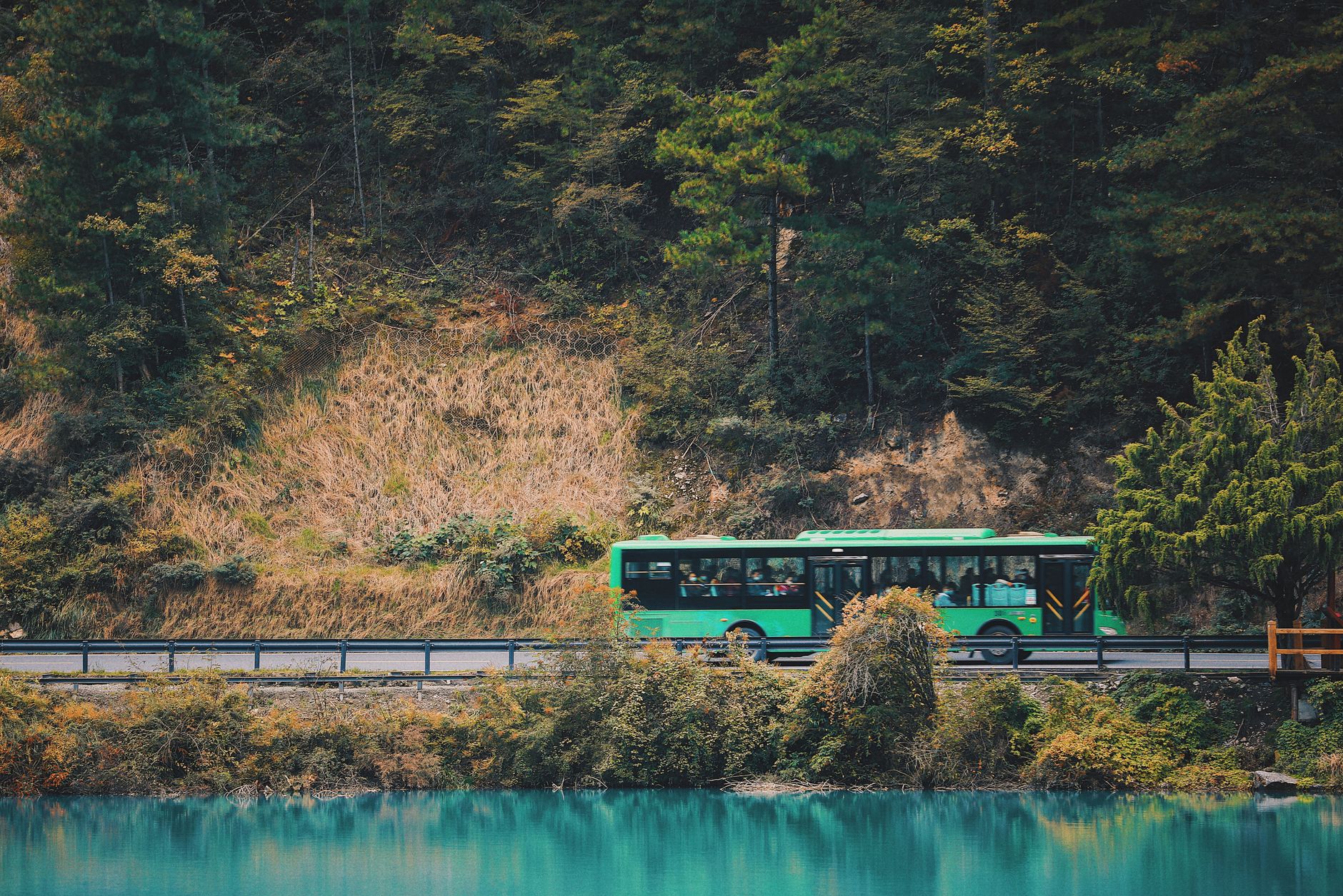 Zielony autobus jedzie leśną drogą obok turkusowego jeziora