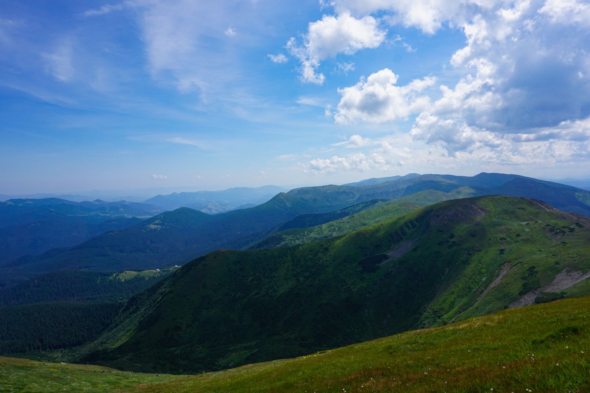 Panorama zielonych Karpat pod błękitnym niebem w Zakarpaciu, Ukraina